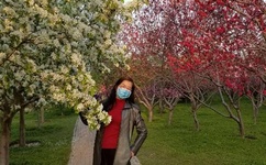 漫画大全之无彩翼漫无遮